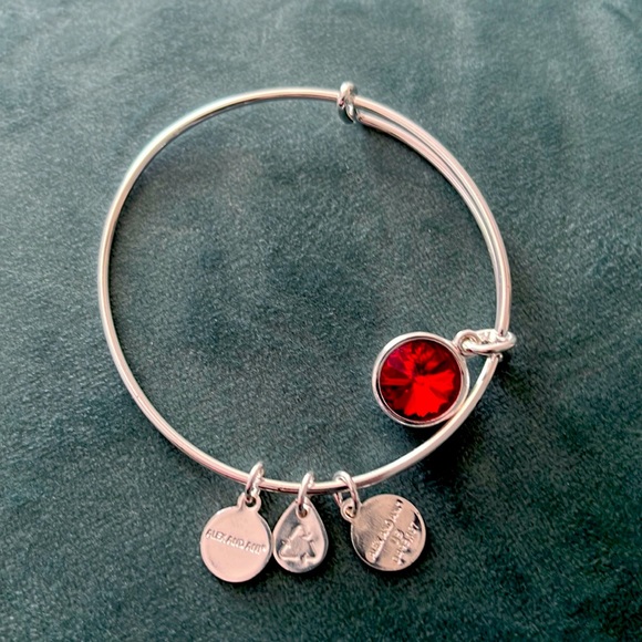 Brand new Alex and Ani charm bracelet - Picture 2 of 5